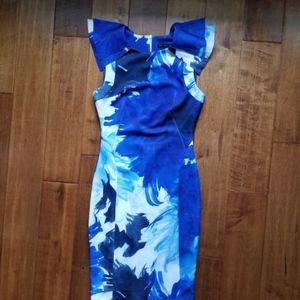 Zara Blue and White Pencil Dress